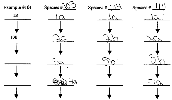 How to write scientific names