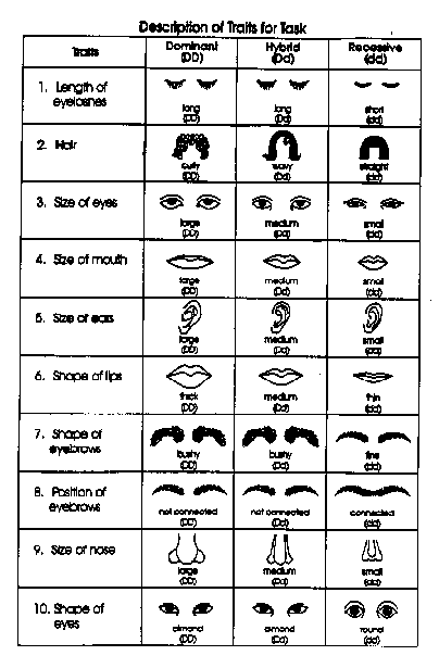 PALS - Task with Student Directions