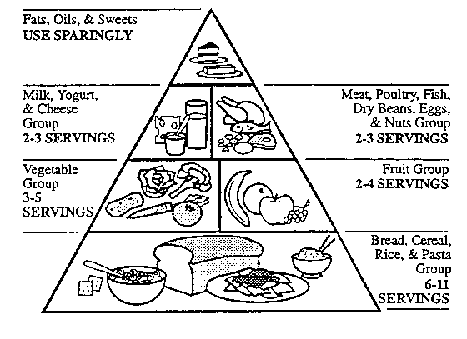 meat poultry fish dry beans eggs and nuts group